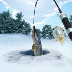 Ice fishing online game in Germany